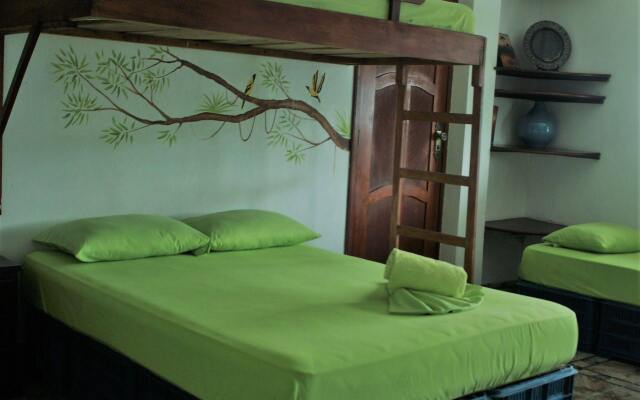 Eco hotel the refuge of the forest