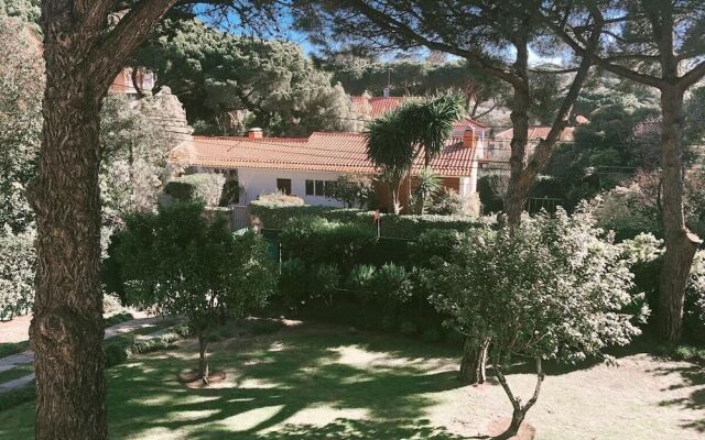 Soul Lab Eco Yoga Retreat