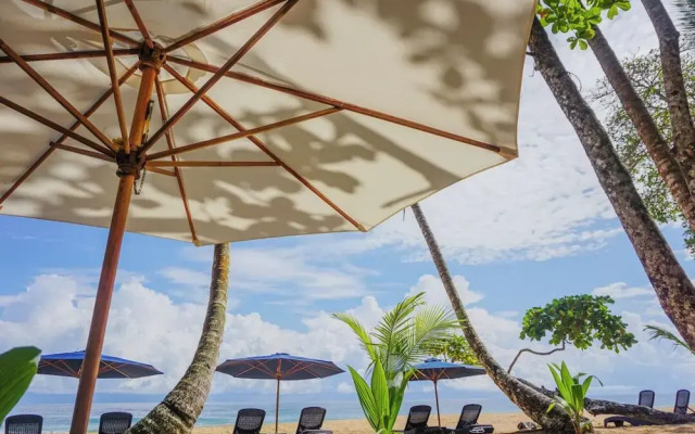 Island Plantation