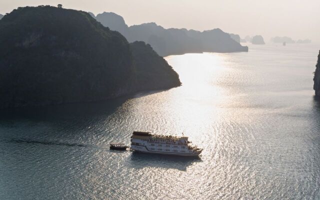 Paloma Cruise