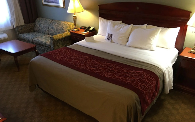 Comfort Inn Springfield