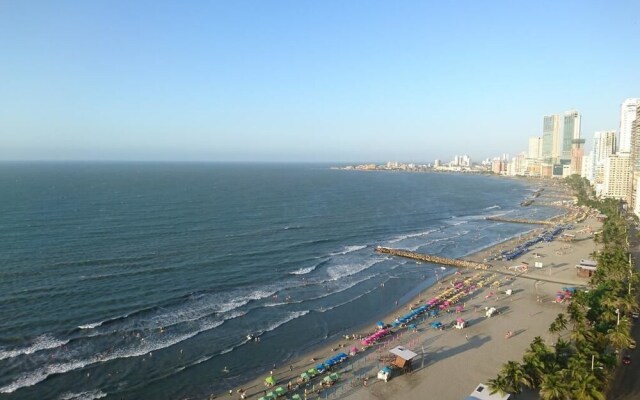 Palmetto Eliptic La Playas Bocagrande