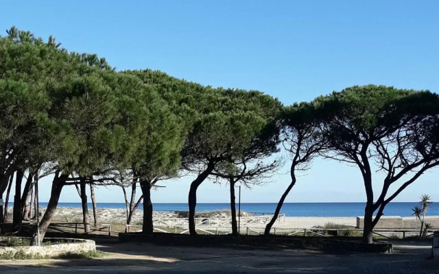Affittacamere B&B Il Fiore