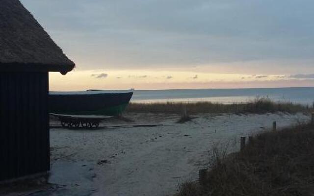 *Strandaster* in Zingst - 100 m bis Strand, ruhig, zentral.