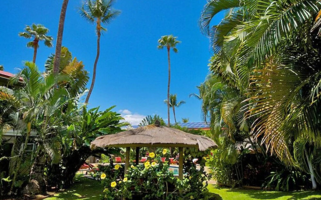 Aina Nalu I109 by RedAwning