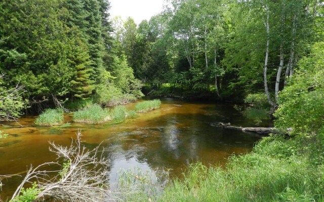 Cabins on Maple River