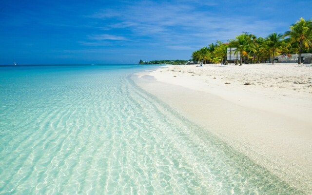 La Casa Buena Vida T 21