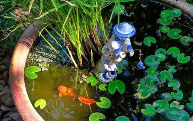 Oasis at Aldinga Beach