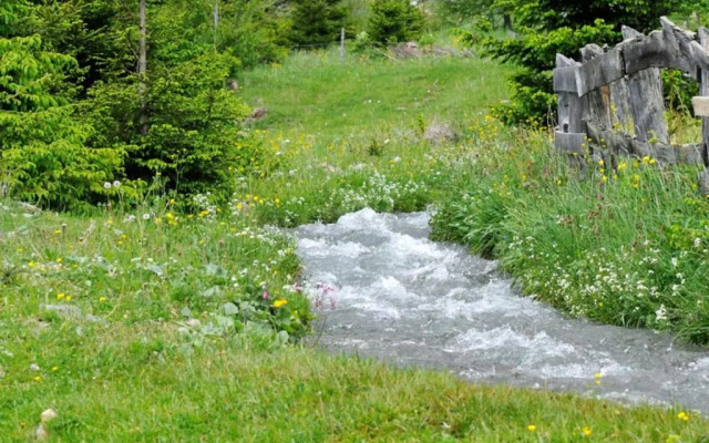 Apartment Linde- Fiechterhof