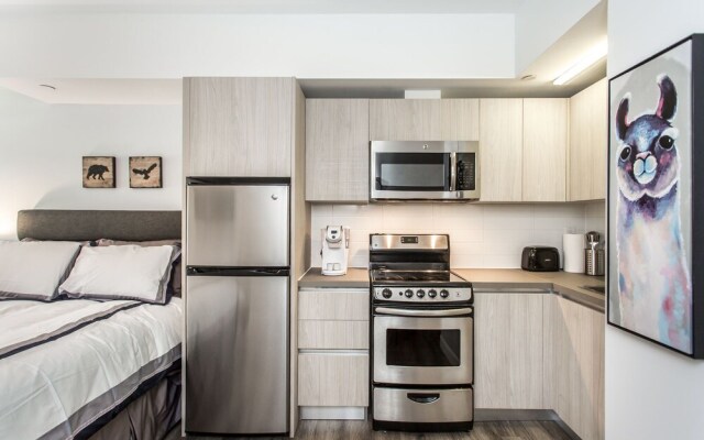 Luxury Apartment in Kensington Market