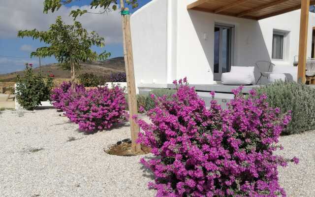 Xerolithos Natural Living