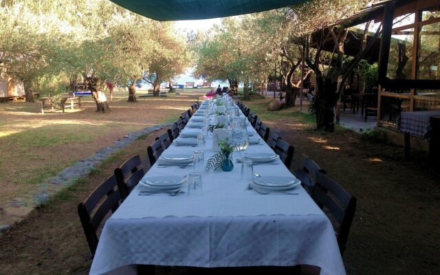 Hotel Oiki Beach Camp