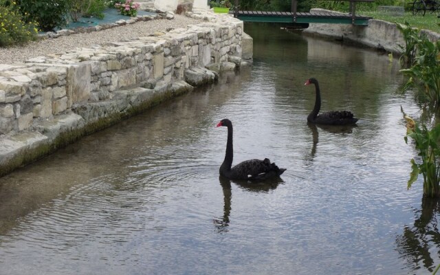Chambre d'hôtes Les Cygnes Noirs