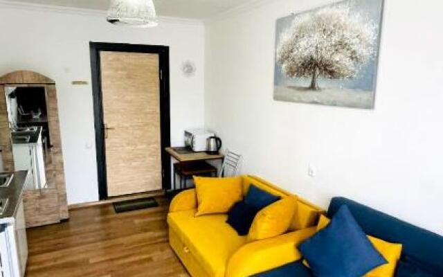 Bakuriani Mgzavrebi Block 9 Room 305