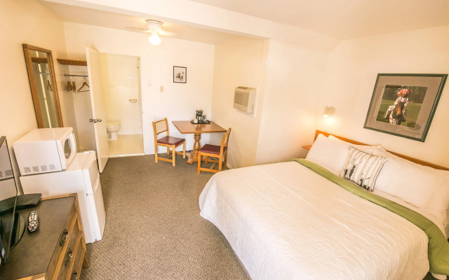 Mountain Springs Motel