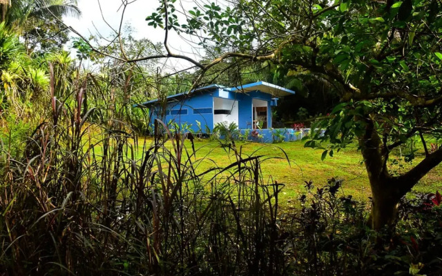 2BR Fabulous Blue House Near Quepos MA