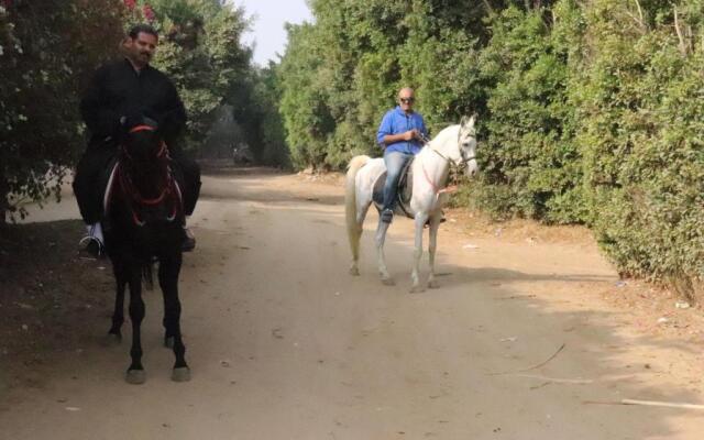 The Farm - Hotel & Horse Riding