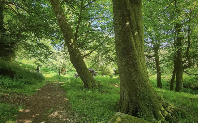 Ta Mill Holiday Cottages & Lodges - Forge Cottage