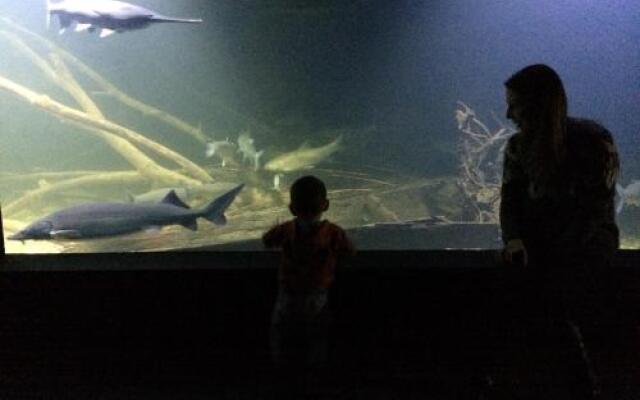 Studio Apartment Cindra