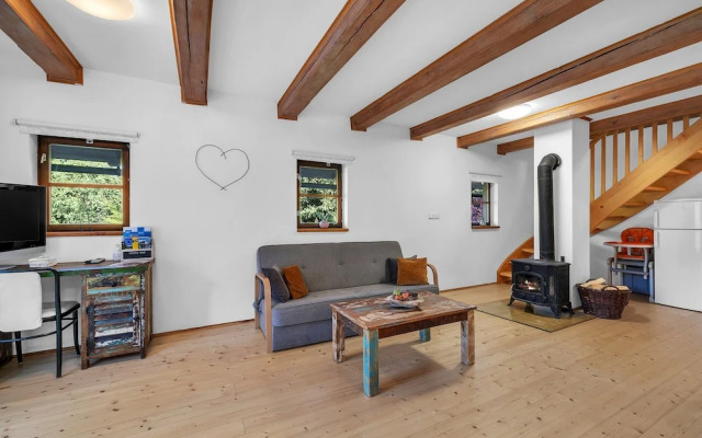 Villa in Dolni Branna With Sauna