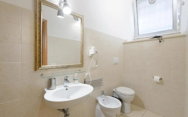 Magenta Classic San Pietro 34