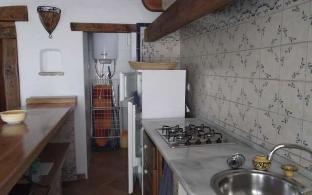 El Olivar de Roche Viejo