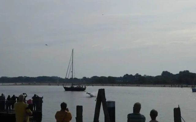 Reese Uitzicht op de Trave