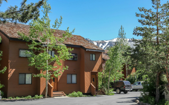 Snowflower #81 Condo