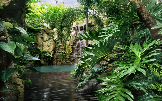 The Farm at San Benito