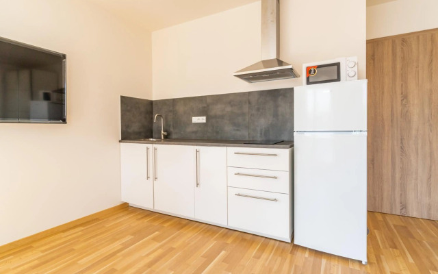 Penthouse with panoramic city view in Elite Rezidence