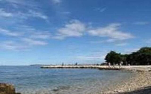 Amfora