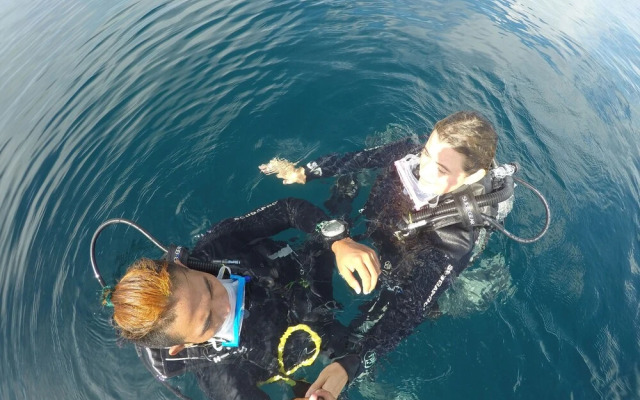 The Sharks Tail Dive Resort