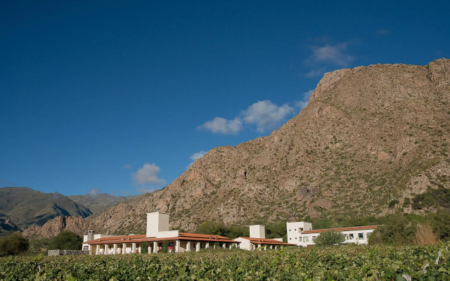 Viñas de Cafayate Wine Resort