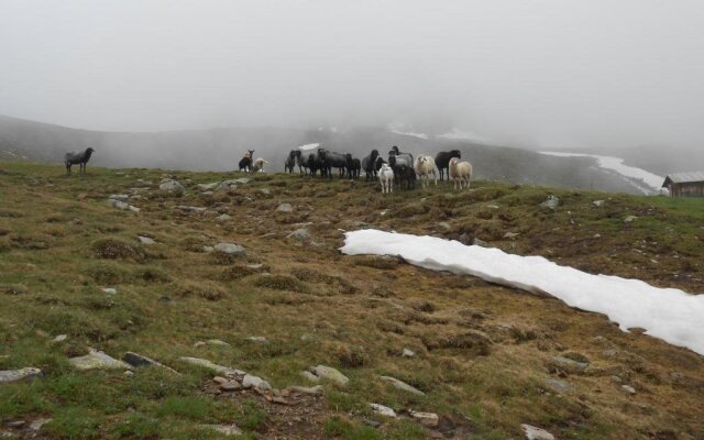 Ferienwohnungen Michaela Ortner