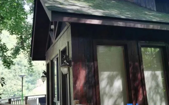 Tree House Guesthouse