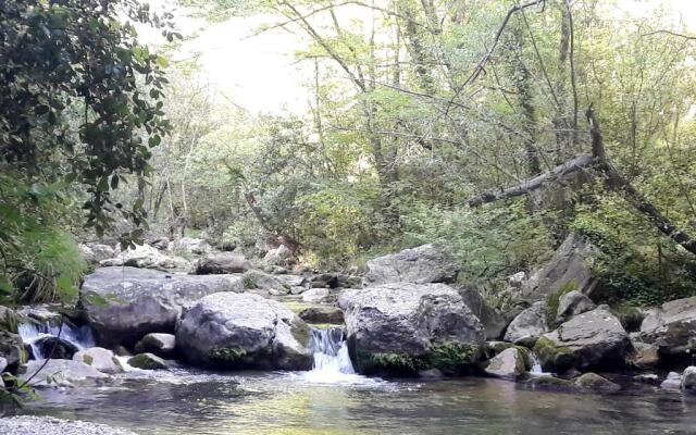 Holidays In Provence Alpes Maritimes