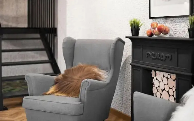 Miód Malvina Apartamenty