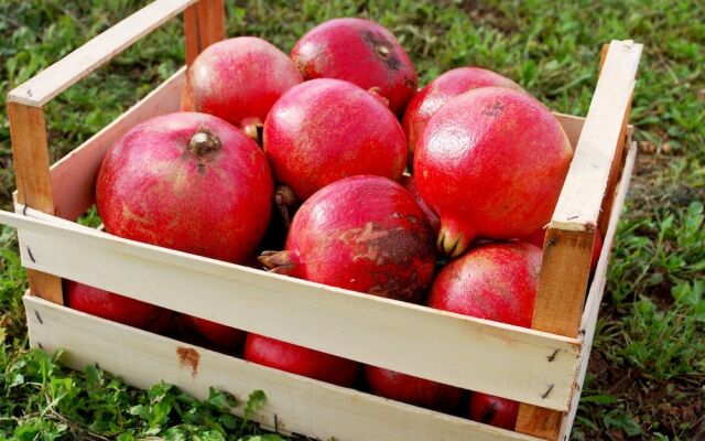 Agriturismo Masseria Galatea