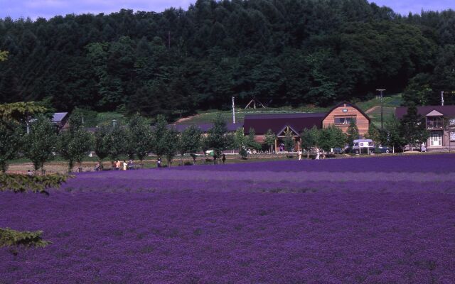 Furano Natulux Hotel