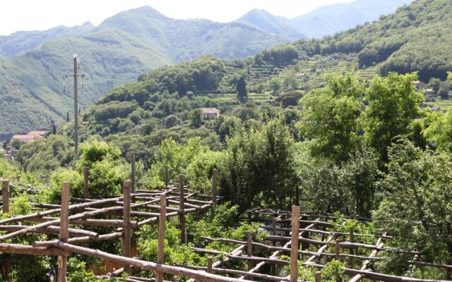 Agriturismo da Regina
