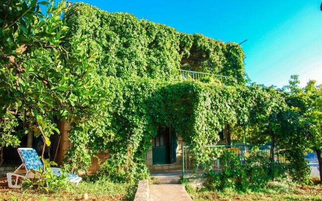 Apartment Postira Meri