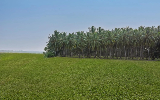 Sterling Palavelli Godavari