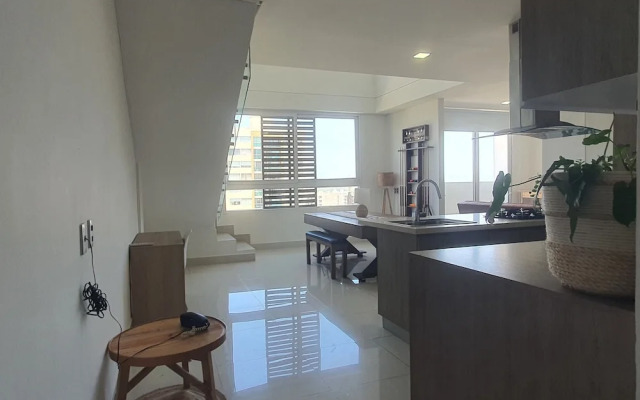 Penthouse de lujo