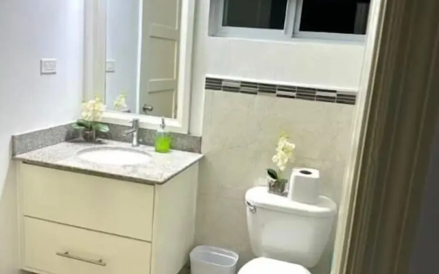 Modern 1BR Condo in Kingston
