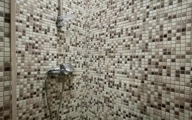 Guest House Odzisi
