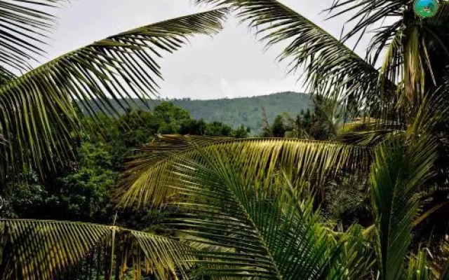 Green View