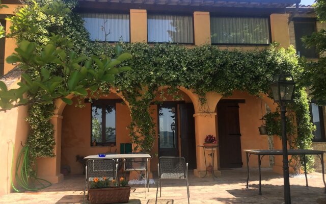 Podere Monte Petreto