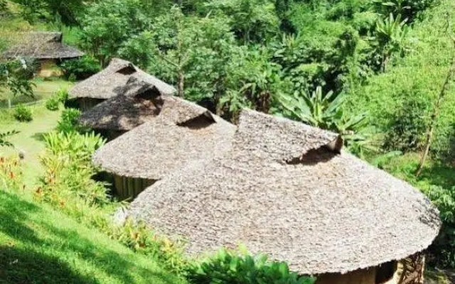 The Natural Healing Spa Retreat