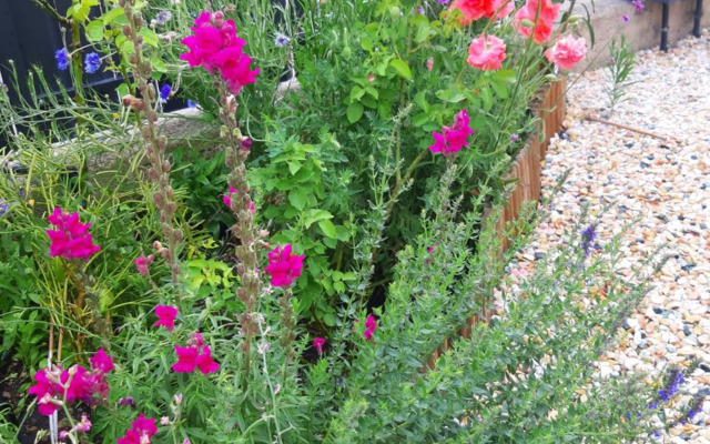 Villa Marianna South Garda Lake Holidays Apartments