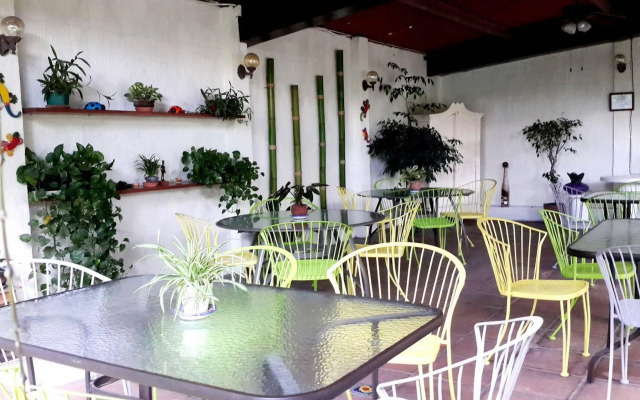 Árbol de Fuego Eco-hotel, a green experience in the city